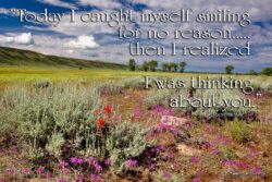 Caught Myself Smiling - Spring Wildflowers