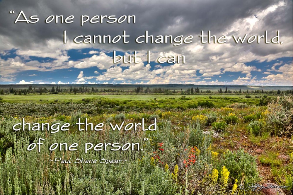 Change The World - Spring Sagebrush