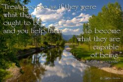 Capable of Being - Stream Reflection