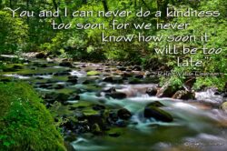 Kindness Too Soon - Stream