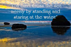 Cross Sea - Hug Point Oregon