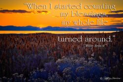 Antelope Island Sunset - Willie Nelson