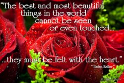 Red Roses - Helen Keller
