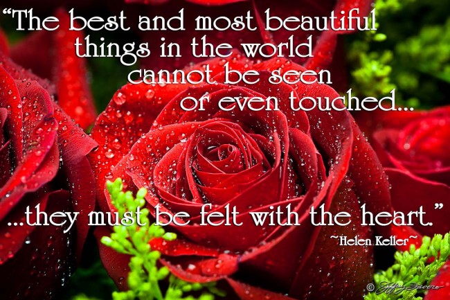 Red Roses - Helen Keller