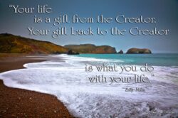 Life Gift - Rodeo Beach