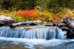 Fall Provo River