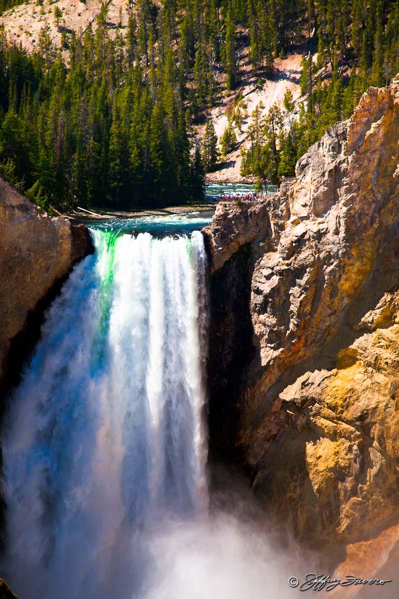 Lower Falls - Yellowstone NP