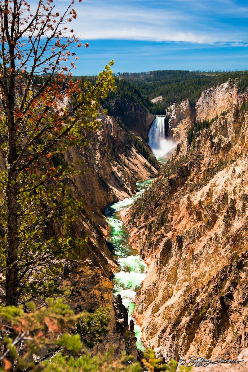 Lower Falls - Yellowstone NP Montana