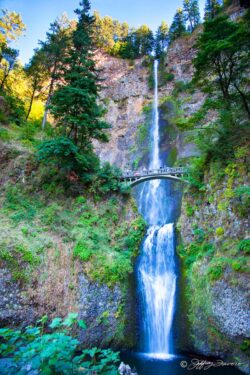 Multnomah Falls - Columbia River Gorge NSA