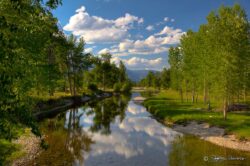 Montana Stream