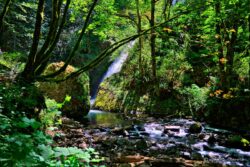 Bridal Veil Falls - OR