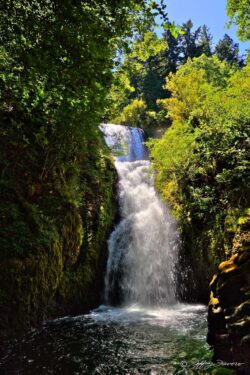 Bridal Veil Falls - Portland, OR