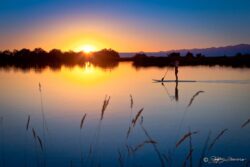 Farmington Pond - Paddle Surfer