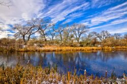 Sentinels - Marriot/Slaterville