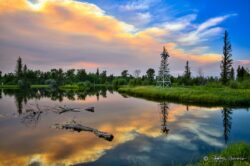 Colorful Pond Reflection