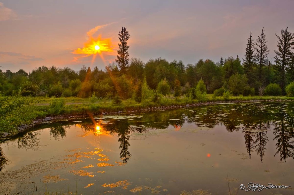 Setting Sun, Pines, Pond