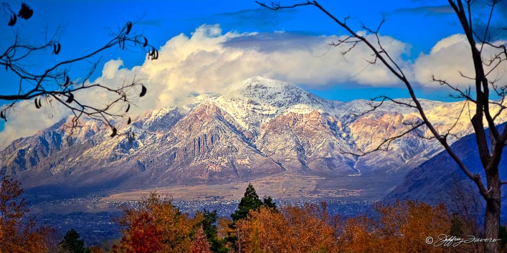 Elusive Ben Lomond