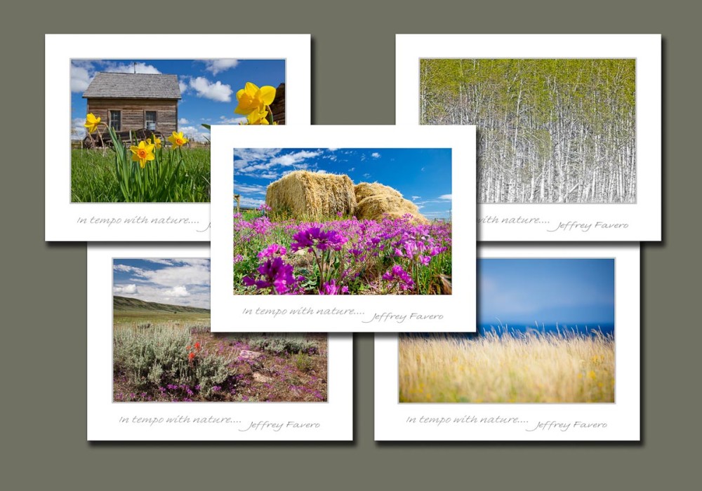 Scenic Landscape Assortment