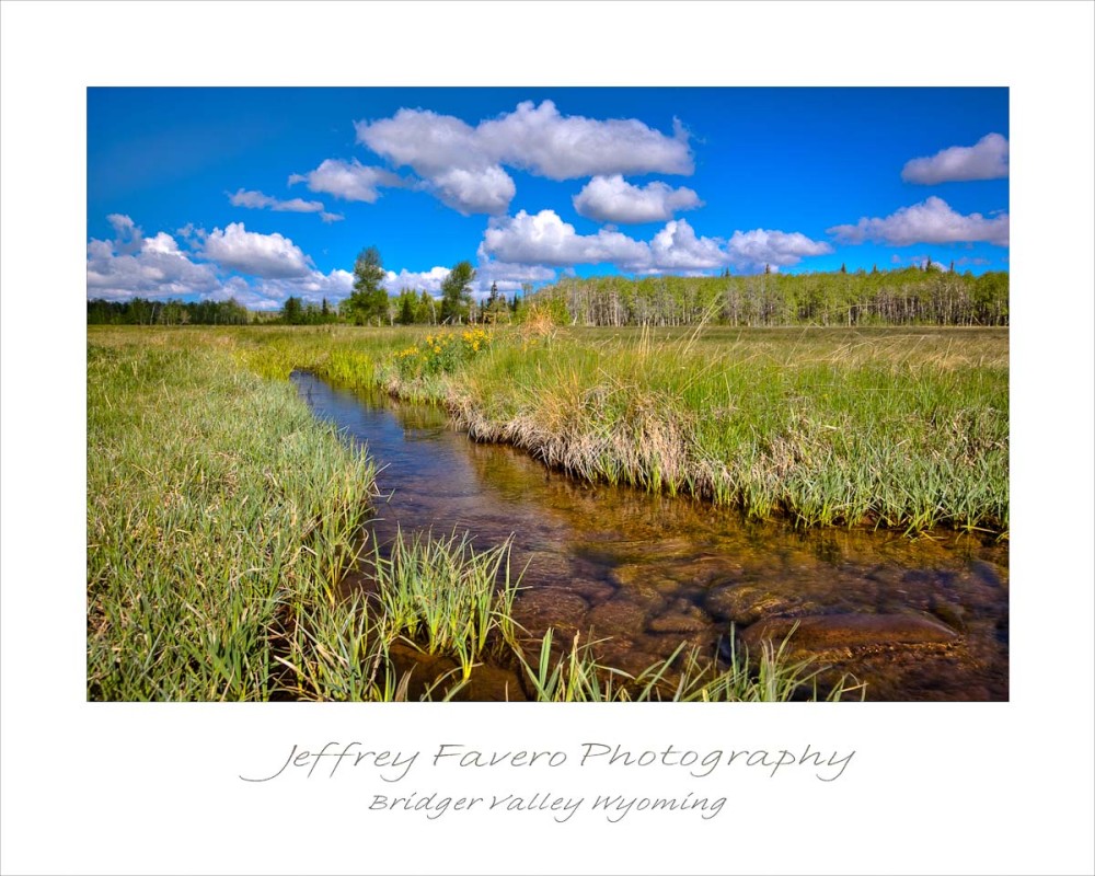 BVW Stream Meadow Sky