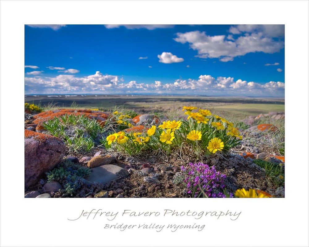 Bridger Valley Wyoming