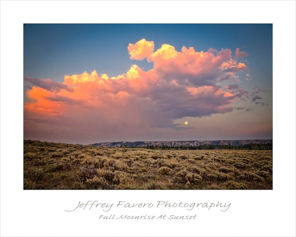 Full Moonrise At Sunset_pink clouds sage