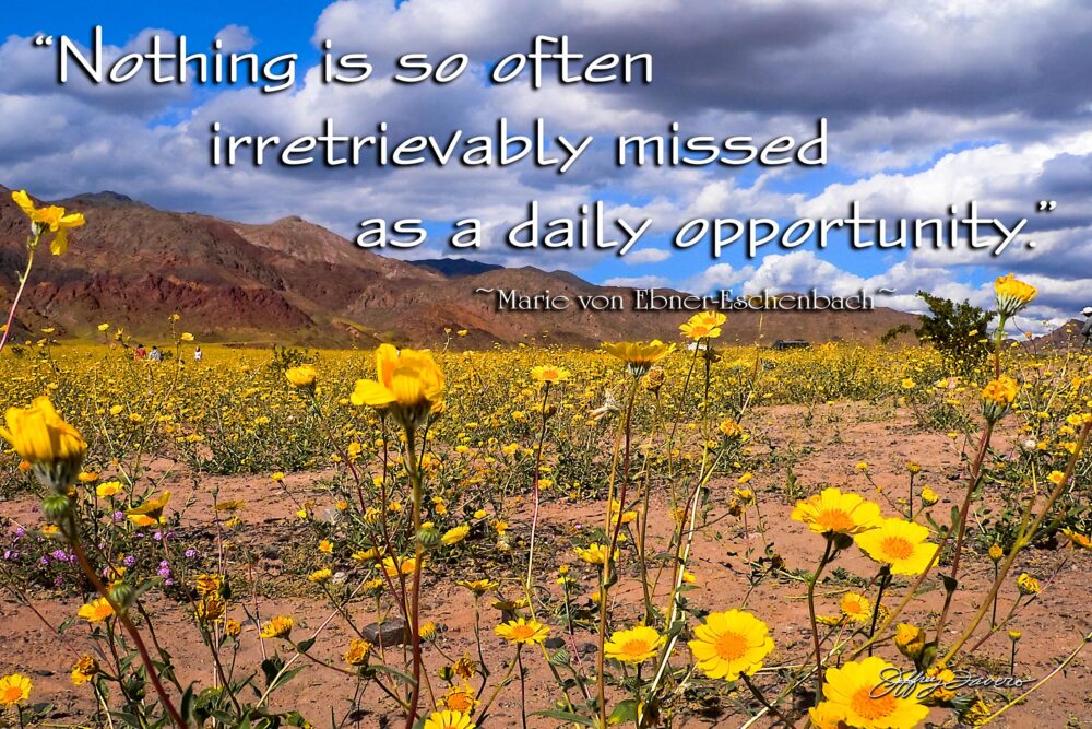 Daily Opportunity - Death Valley NP