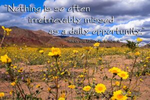 Daily Opportunity - Death Valley NP