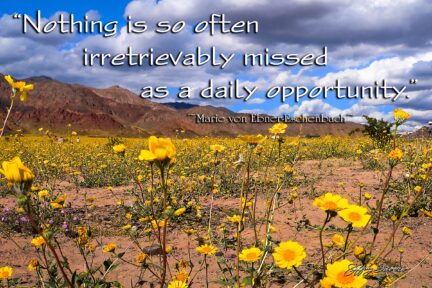 Daily Opportunity - Death Valley NP