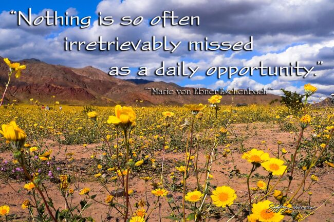 Daily Opportunity - Death Valley NP