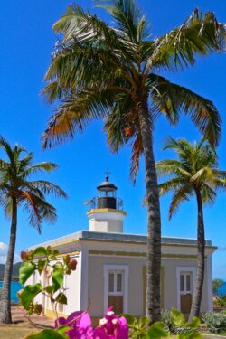 El Faro - Isabel Segunda