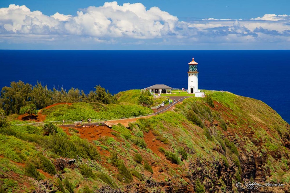 Kilauea Point - Kaua'i