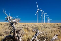 Wind Turbines and Sagebrush
