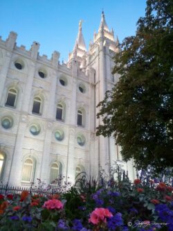 Salt Lake Temple Flowers