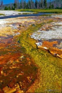 Thermal Watercolor - Yellowstone National Park