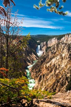 Yellowstone National Park - Lower Falls
