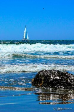Sailboat Rock - Channel Islands National Park