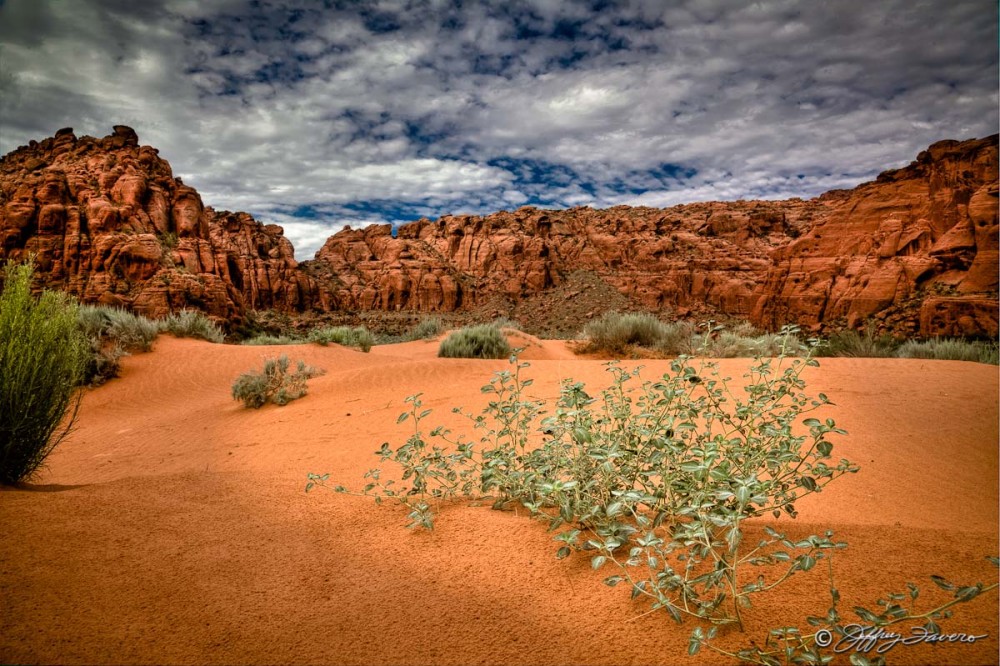 Snow Canyon Dunes