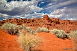 Red Cliffs Desert Reserve - St. George, UT