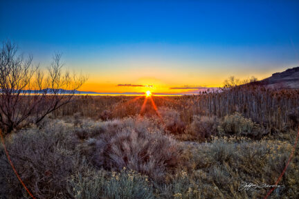 Sunset And Sage - Antelope Island SP, UT