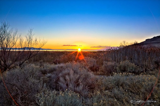 Sunset And Sage - Antelope Island State Park - Utah
