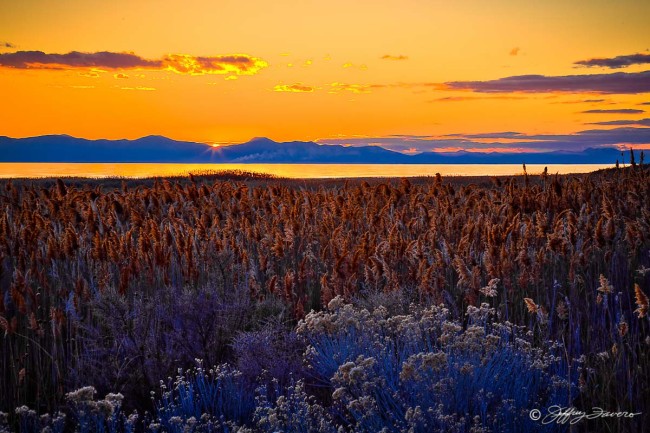 Last Sun Whiterock Bay - Antelope Island State Park - Utah