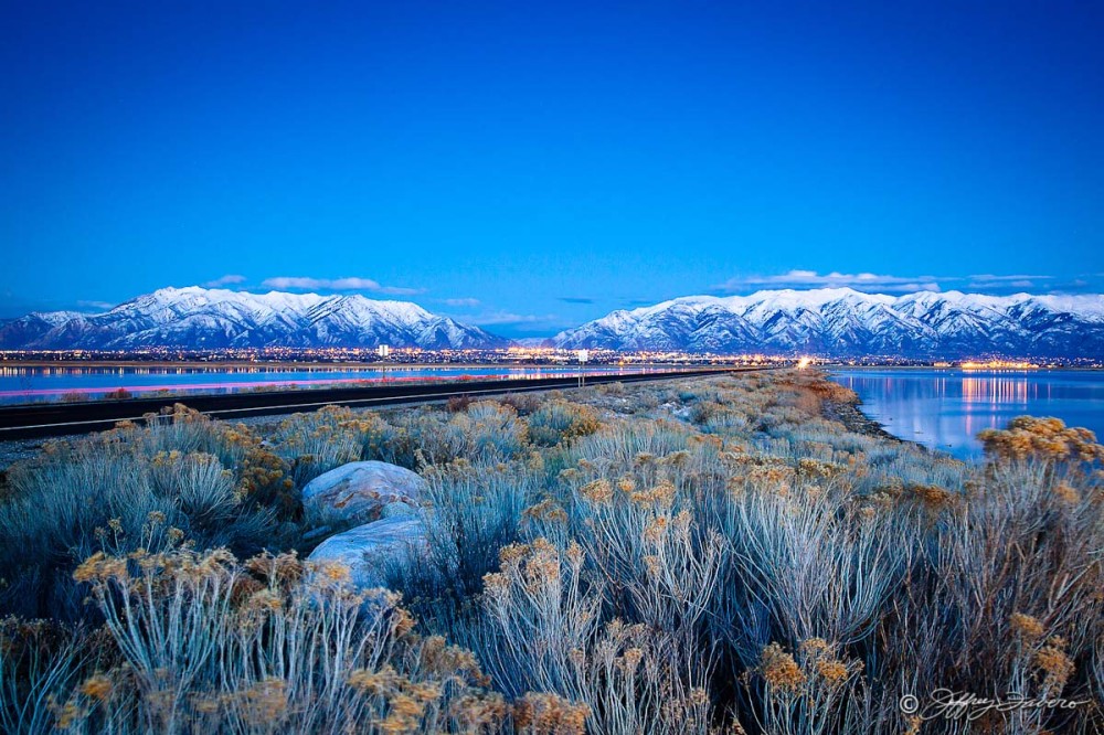 Mid-Causeway Sagebrush - Antelope Island