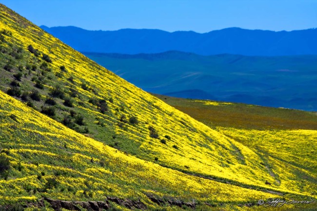 Temblor Mountains - Kern County, California