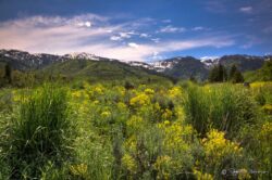 North Fork Park - Liberty, UT