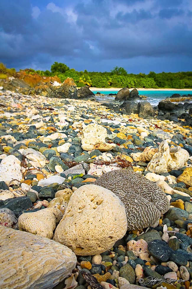 Vieques Low Tide
