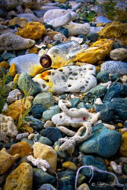 Bottle At Low Tide