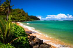 Kaua'i Shoreline