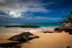 Low Tide Waimea - Northshore Oahu