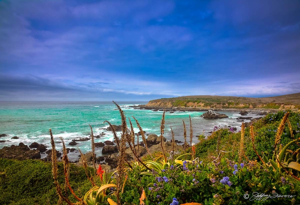 Cambria, California - Nature Preserve