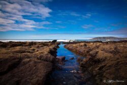 Low Tide - Pismo, California